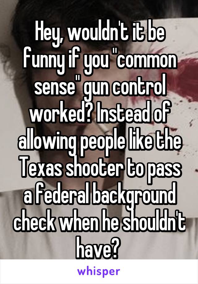 Hey, wouldn't it be funny if you "common sense" gun control worked? Instead of allowing people like the Texas shooter to pass a federal background check when he shouldn't have? 