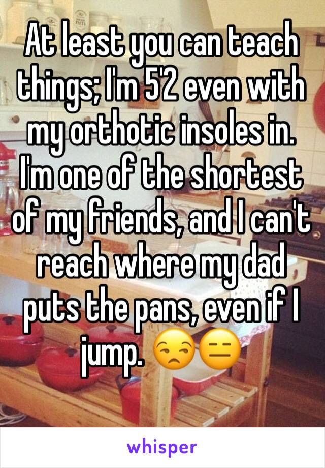 At least you can teach things; I'm 5'2 even with my orthotic insoles in. I'm one of the shortest of my friends, and I can't reach where my dad puts the pans, even if I jump. 😒😑