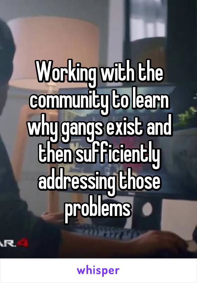 Working with the community to learn why gangs exist and then sufficiently addressing those problems 