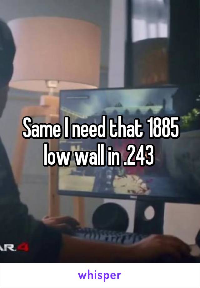 Same I need that 1885 low wall in .243 