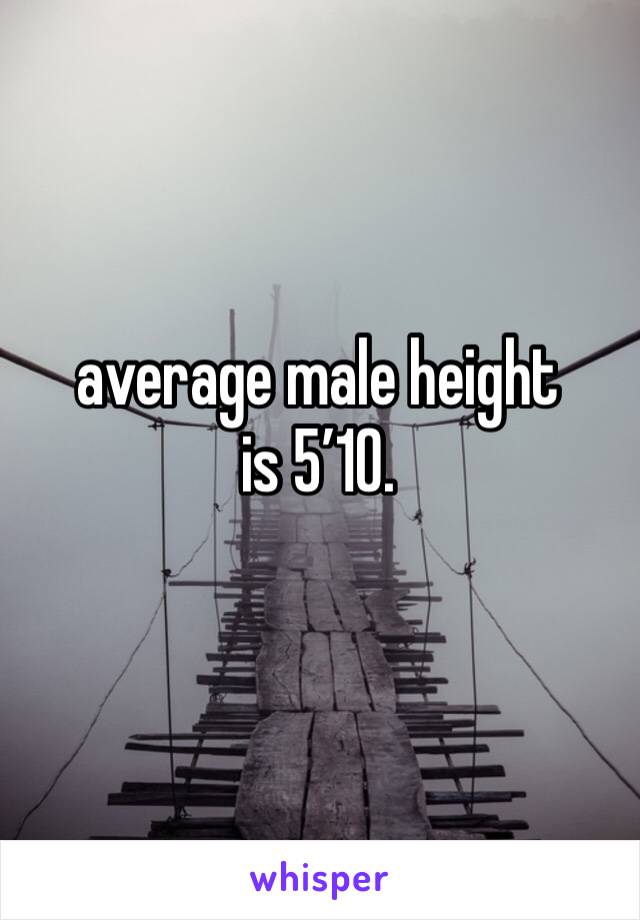 average male height is 5’10.