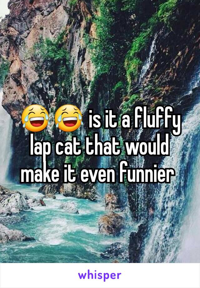 😂😂 is it a fluffy lap cat that would make it even funnier 