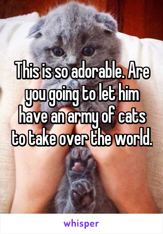 This is so adorable. Are you going to let him have an army of cats to take over the world. 