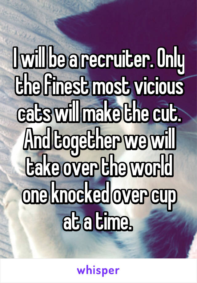 I will be a recruiter. Only the finest most vicious cats will make the cut. And together we will take over the world one knocked over cup at a time. 