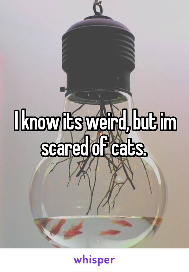 I know its weird, but im scared of cats. 