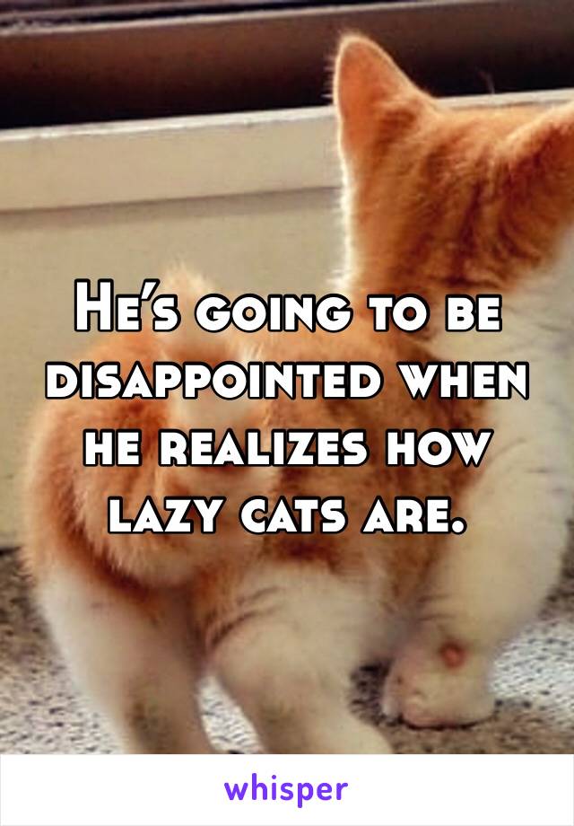 He’s going to be disappointed when he realizes how lazy cats are. 