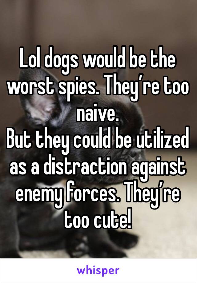 Lol dogs would be the worst spies. They’re too naive. 
But they could be utilized as a distraction against enemy forces. They’re too cute!