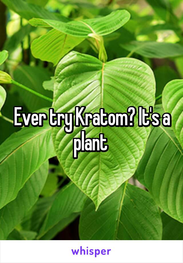 Ever try Kratom? It's a plant 