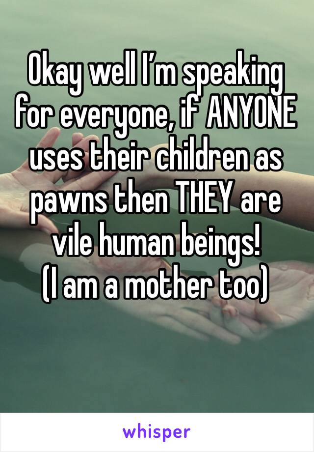 Okay well I’m speaking for everyone, if ANYONE uses their children as pawns then THEY are vile human beings! 
(I am a mother too)