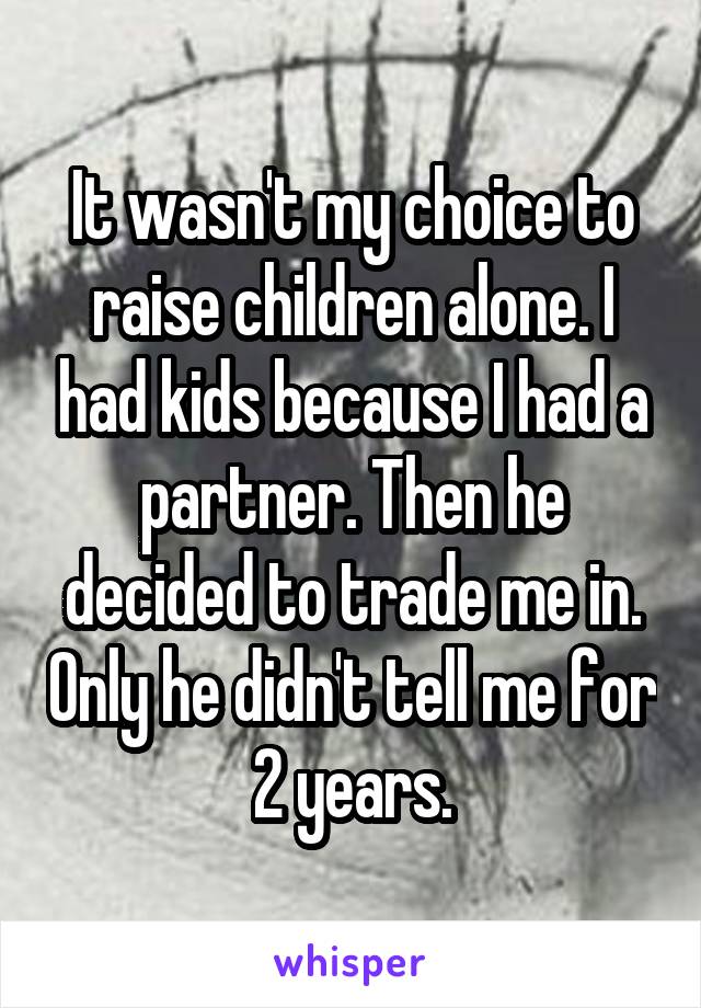 It wasn't my choice to raise children alone. I had kids because I had a partner. Then he decided to trade me in. Only he didn't tell me for 2 years.