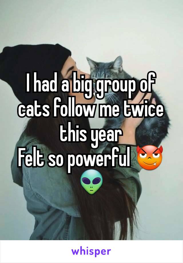 I had a big group of cats follow me twice this year
Felt so powerful 😈👽