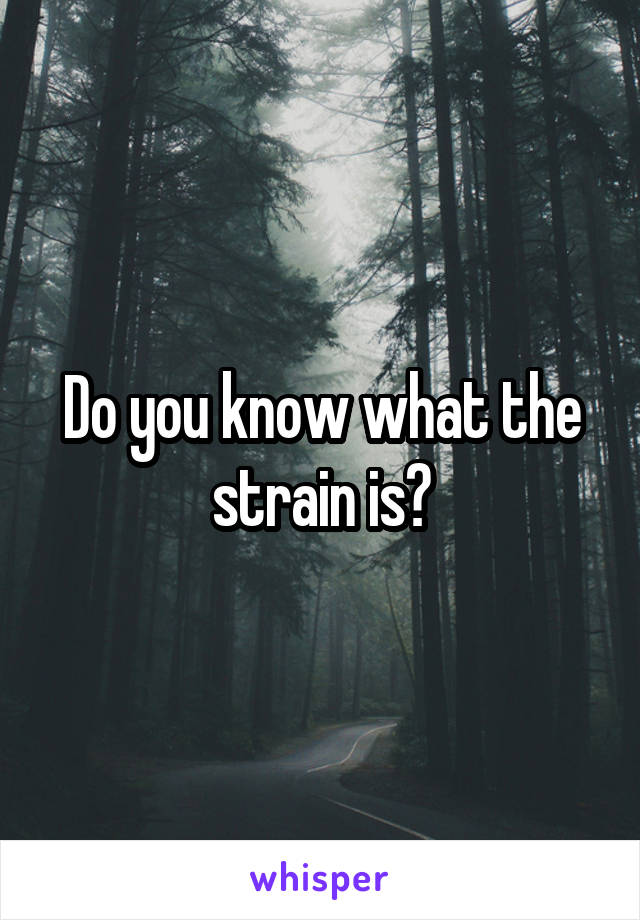 Do you know what the strain is?