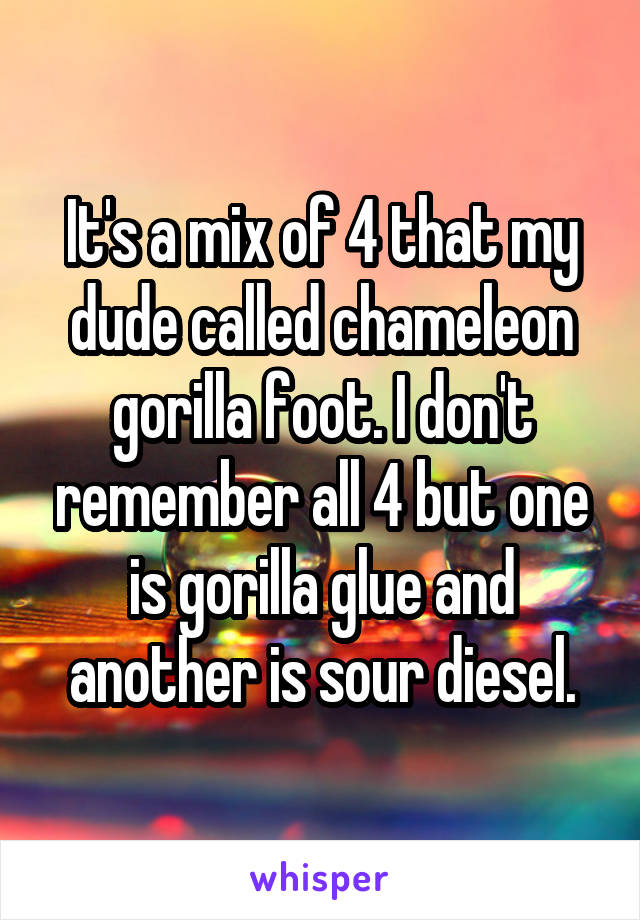 It's a mix of 4 that my dude called chameleon gorilla foot. I don't remember all 4 but one is gorilla glue and another is sour diesel.