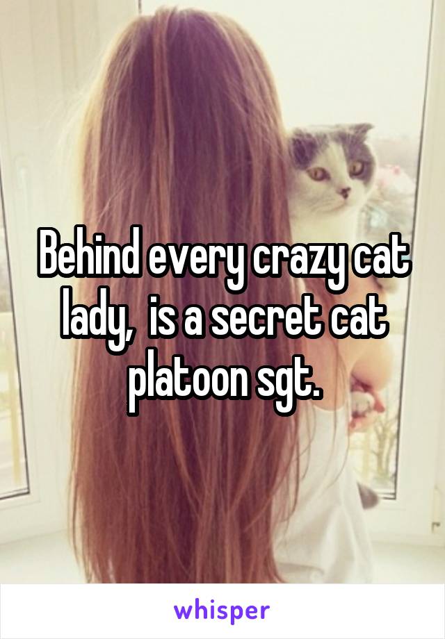 Behind every crazy cat lady,  is a secret cat platoon sgt.