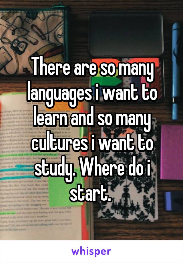 There are so many languages i want to learn and so many cultures i want to study. Where do i start. 