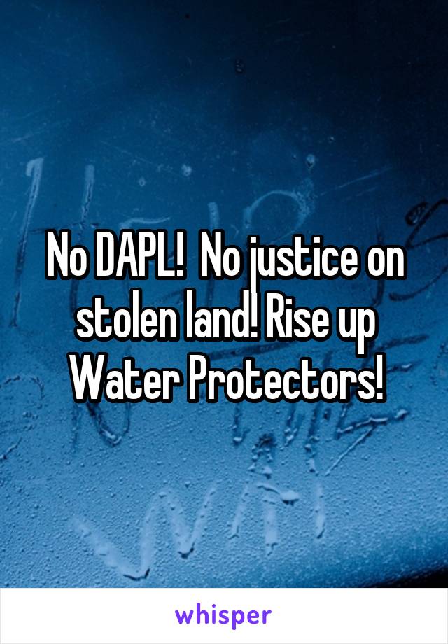 No DAPL!  No justice on stolen land! Rise up Water Protectors!