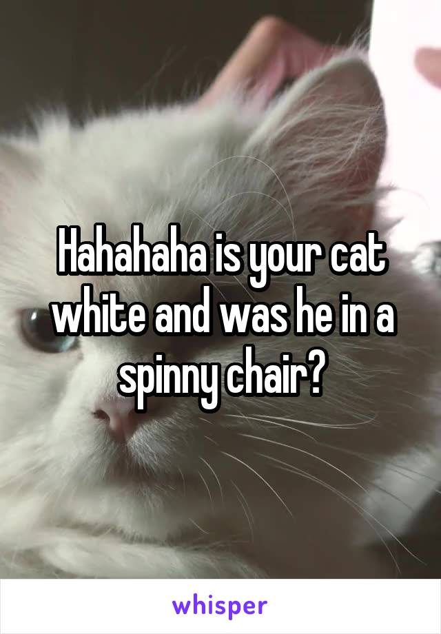 Hahahaha is your cat white and was he in a spinny chair?