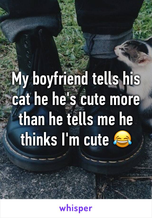 My boyfriend tells his cat he he's cute more than he tells me he thinks I'm cute ðŸ˜‚