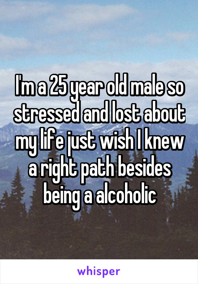 I'm a 25 year old male so stressed and lost about my life just wish I knew a right path besides being a alcoholic