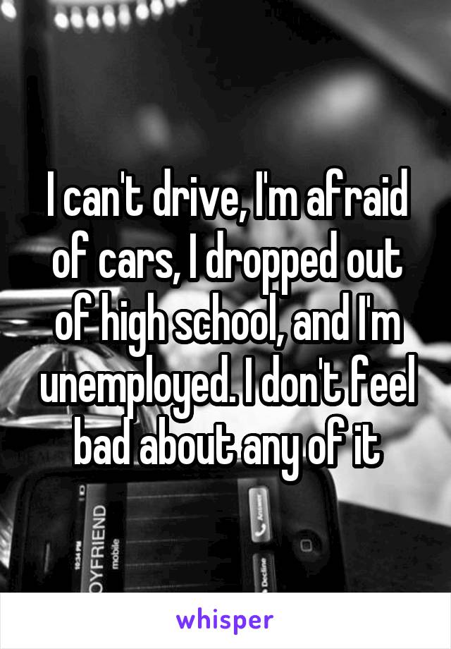 I can't drive, I'm afraid of cars, I dropped out of high school, and I'm unemployed. I don't feel bad about any of it