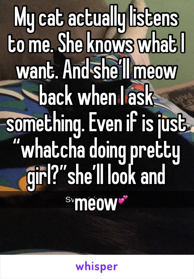 My cat actually listens to me. She knows what I want. And she’ll meow back when I ask something. Even if is just “whatcha doing pretty girl?”she’ll look and meow