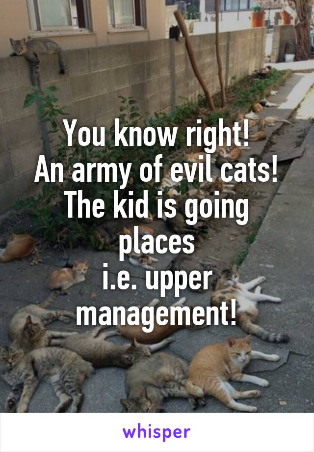 You know right!
An army of evil cats!
The kid is going places
i.e. upper management!