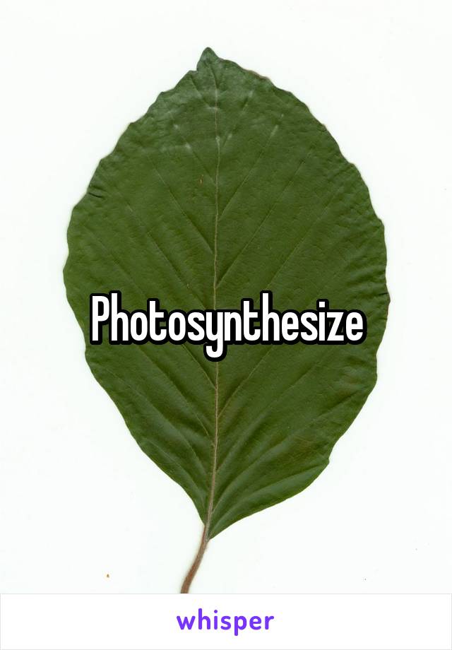 Photosynthesize