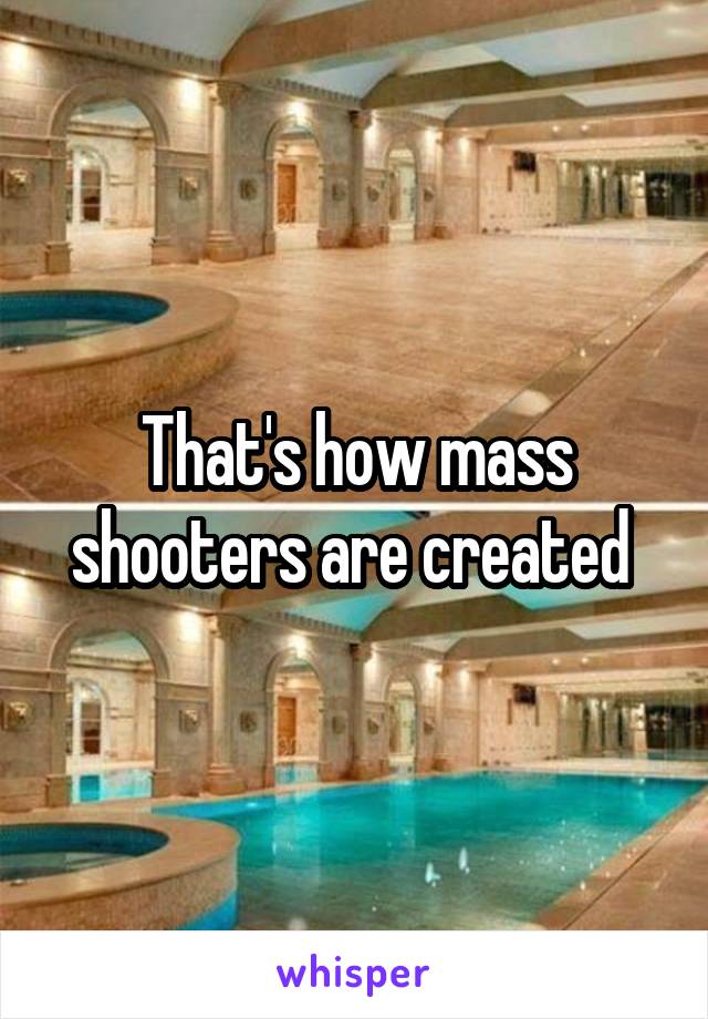 That's how mass shooters are created 