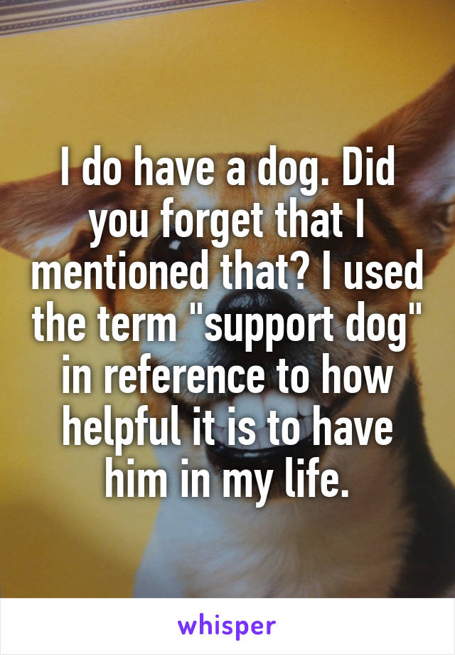 I do have a dog. Did you forget that I mentioned that? I used the term "support dog" in reference to how helpful it is to have him in my life.