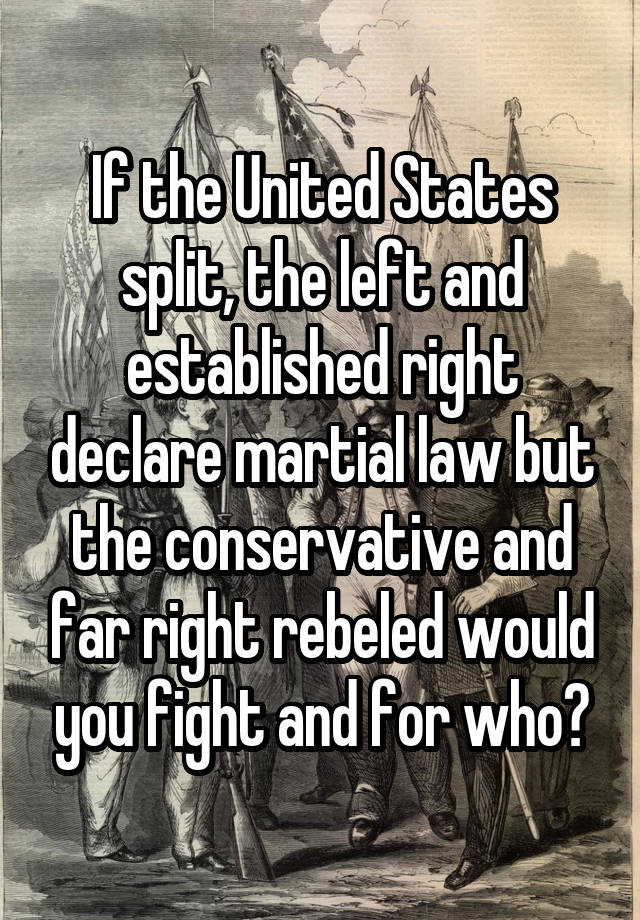 If the United States split, the left and established right declare martial law but the conservative and far right rebeled would you fight and for who?