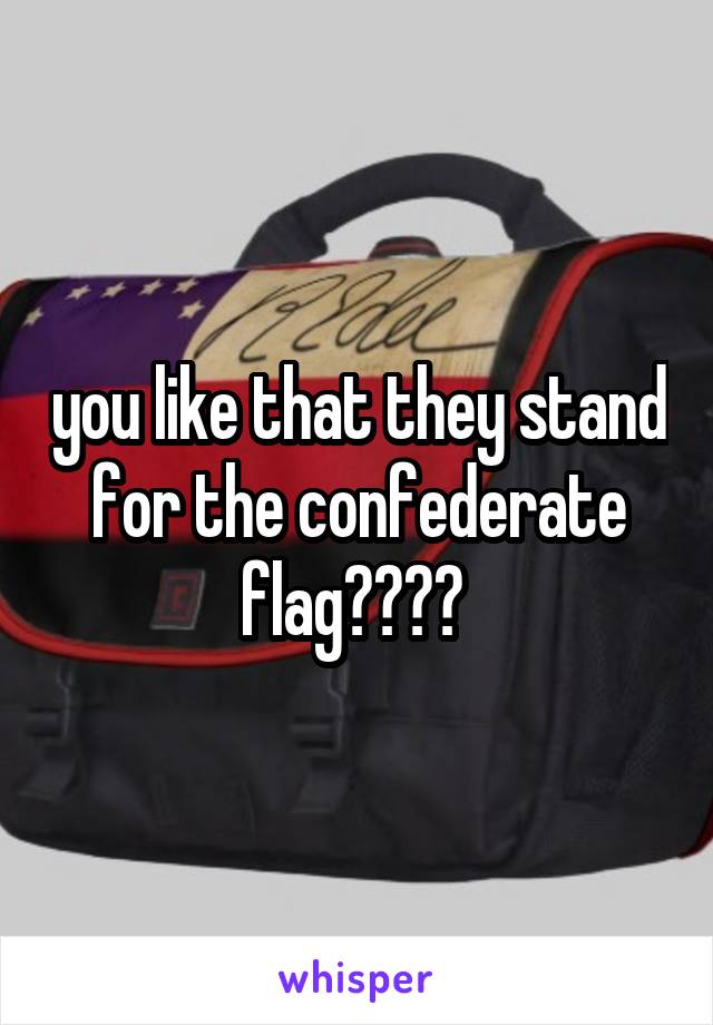 you like that they stand for the confederate flag???? 