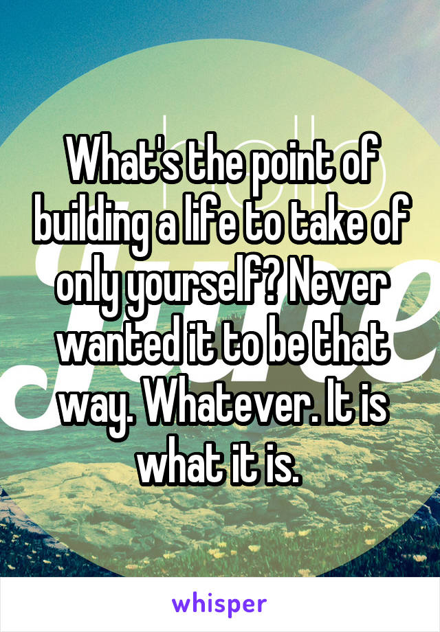 What's the point of building a life to take of only yourself? Never wanted it to be that way. Whatever. It is what it is. 
