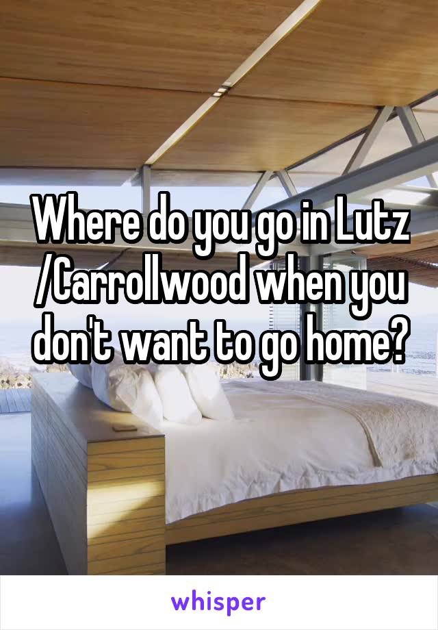 Where do you go in Lutz /Carrollwood when you don't want to go home? 