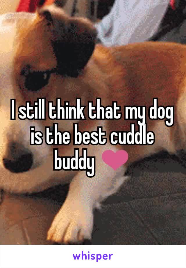 I still think that my dog is the best cuddle buddy ❤️
