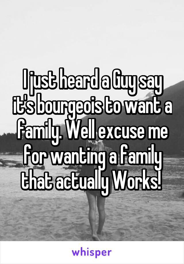 I just heard a Guy say it's bourgeois to want a family. Well excuse me for wanting a family that actually Works! 