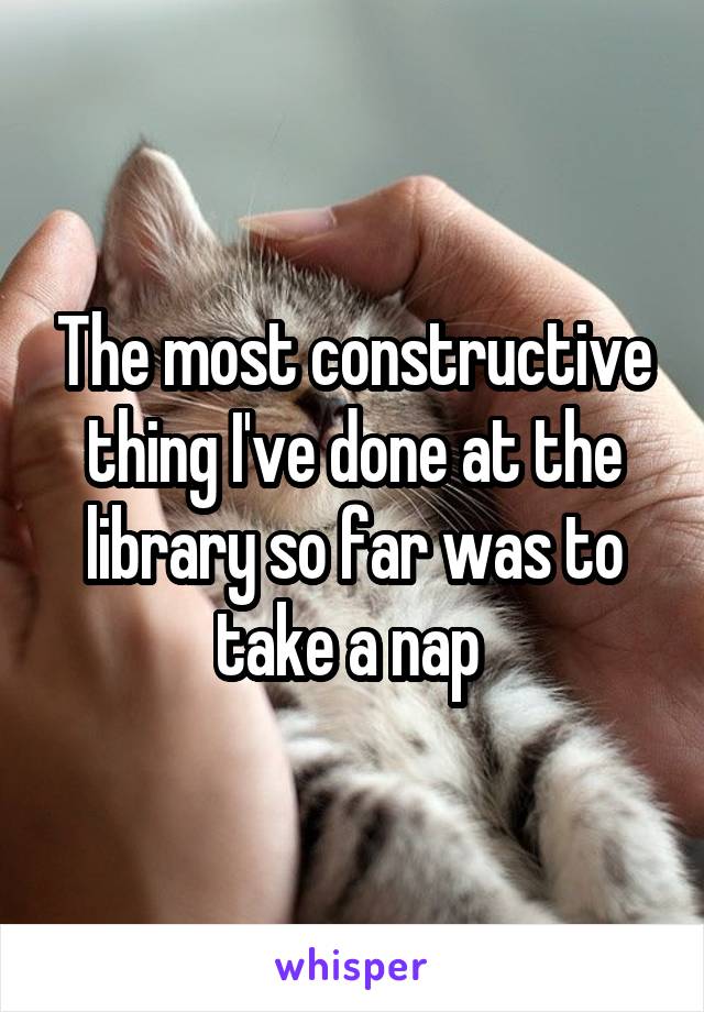 The most constructive thing I've done at the library so far was to take a nap 