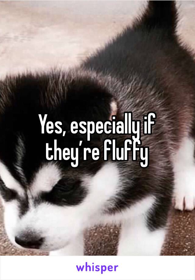 Yes, especially if they’re fluffy