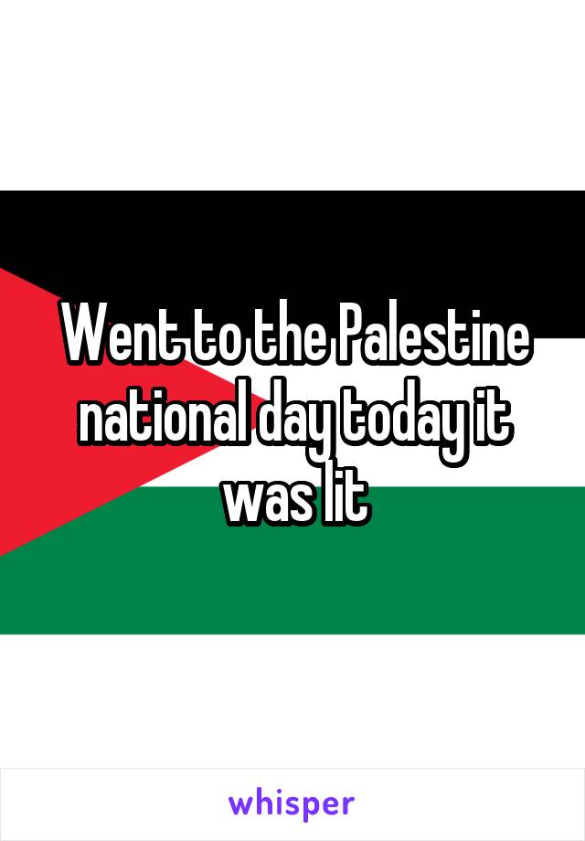 Went to the Palestine national day today it was lit