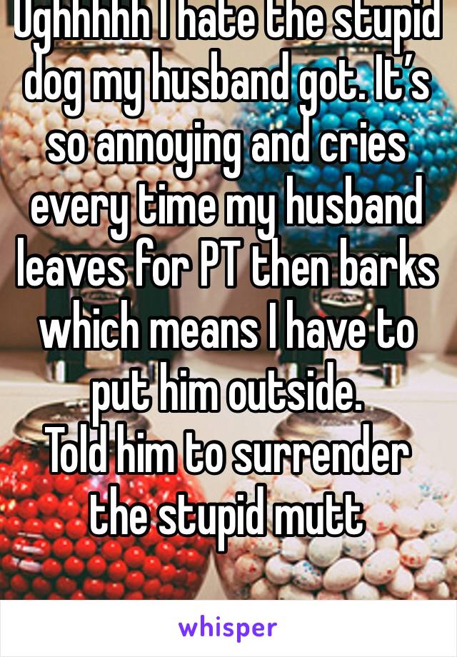 Ughhhhh I hate the stupid dog my husband got. It’s so annoying and cries every time my husband leaves for PT then barks which means I have to put him outside. 
Told him to surrender the stupid mutt