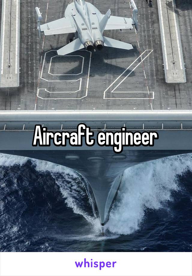 Aircraft engineer 