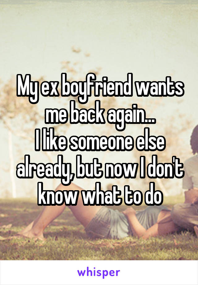 My ex boyfriend wants me back again...
I like someone else already, but now I don't know what to do