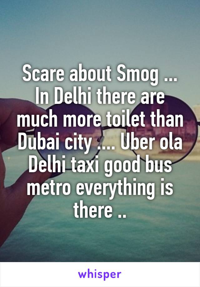Scare about Smog ...
In Delhi there are much more toilet than Dubai city .... Uber ola Delhi taxi good bus metro everything is there ..