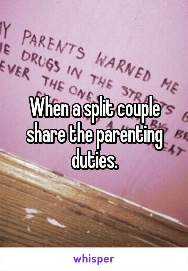 When a split couple share the parenting duties.