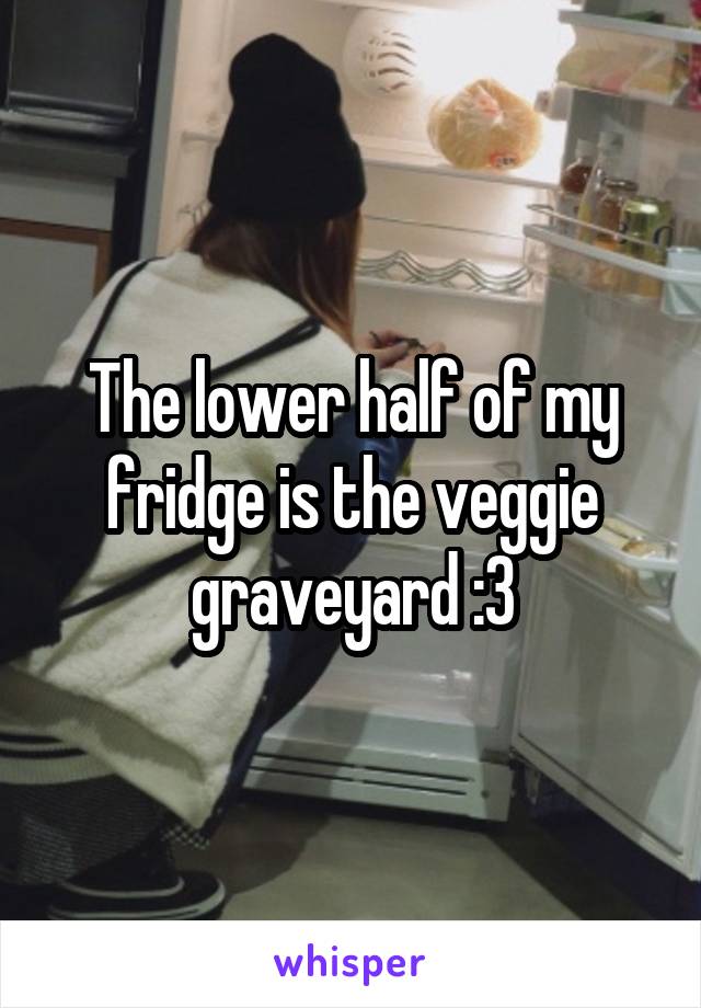 The lower half of my fridge is the veggie graveyard :3