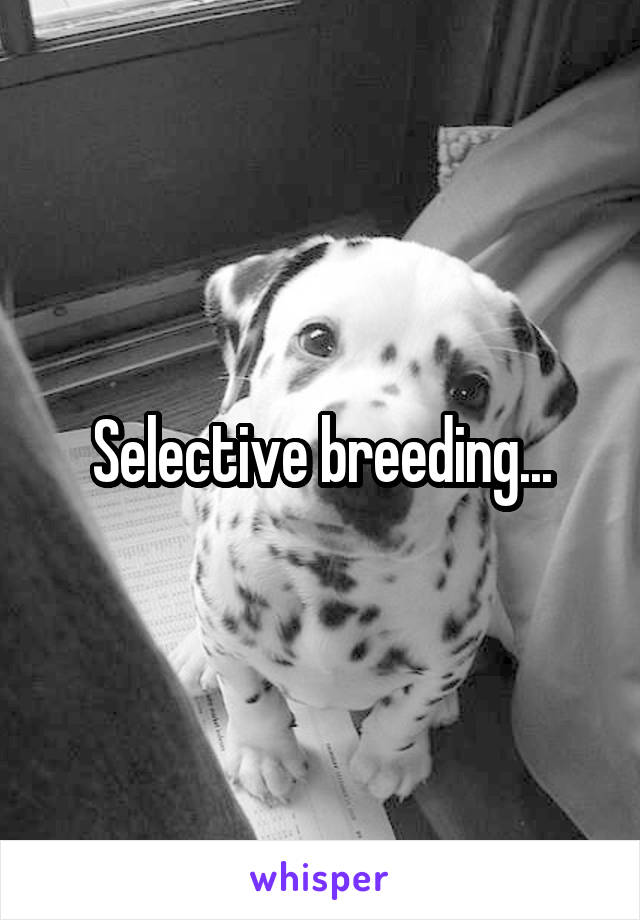 Selective breeding...