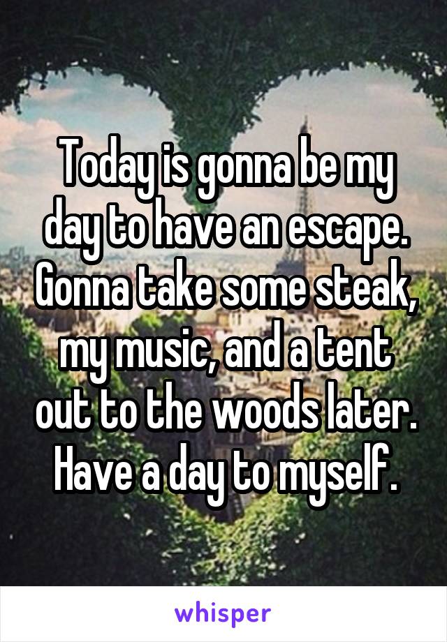 Today is gonna be my day to have an escape. Gonna take some steak, my music, and a tent out to the woods later. Have a day to myself.