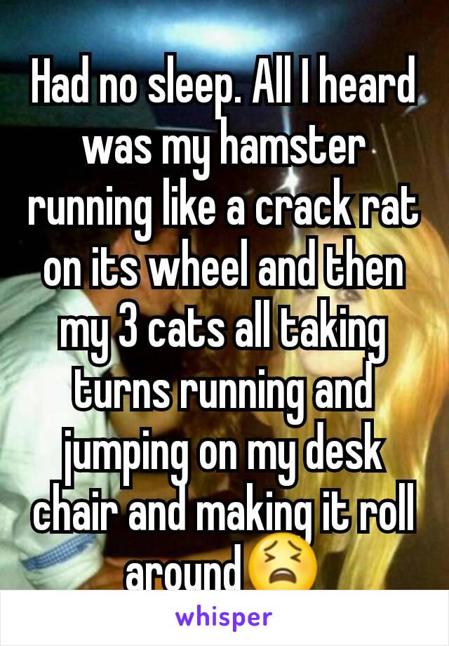 Had no sleep. All I heard was my hamster running like a crack rat on its wheel and then my 3 cats all taking turns running and jumping on my desk chair and making it roll around😫