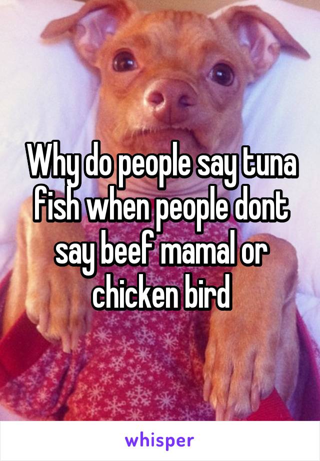 Why do people say tuna fish when people dont say beef mamal or chicken bird