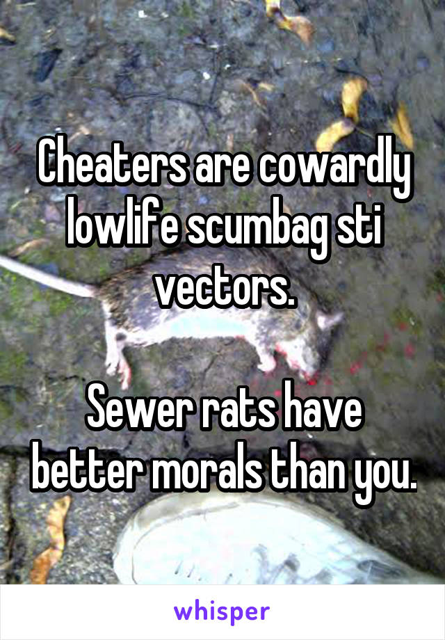 Cheaters are cowardly lowlife scumbag sti vectors.

Sewer rats have better morals than you.