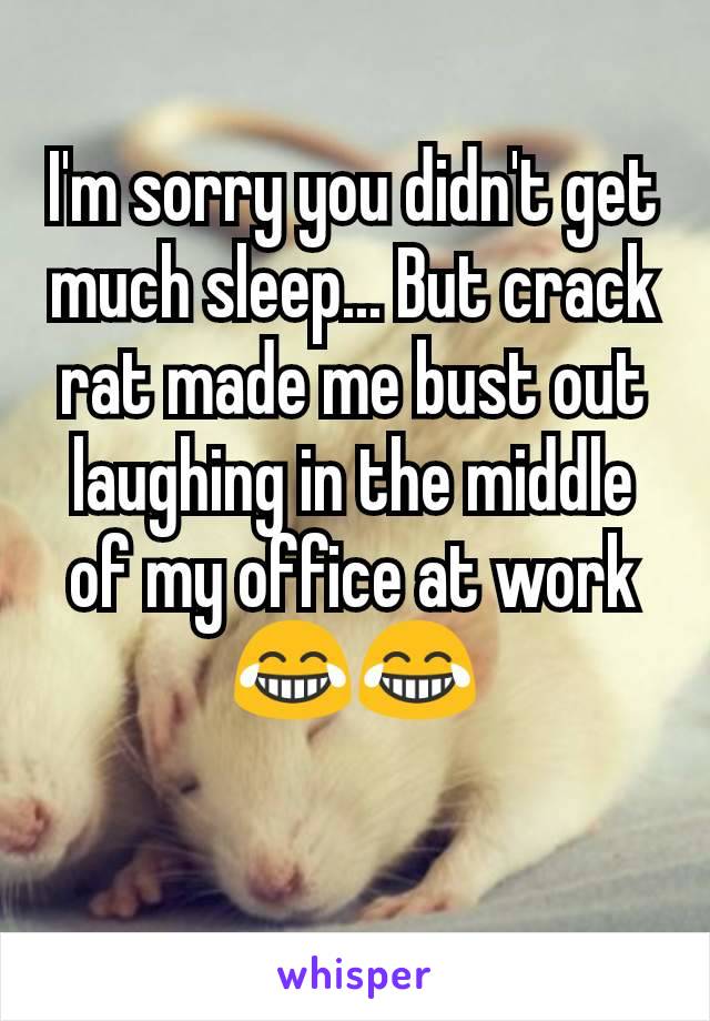 I'm sorry you didn't get much sleep... But crack rat made me bust out laughing in the middle of my office at work 😂😂